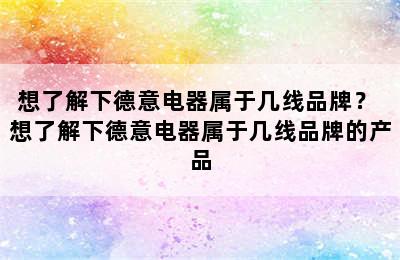 想了解下德意电器属于几线品牌？ 想了解下德意电器属于几线品牌的产品